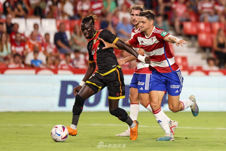 皇家社会的 皇家社会的